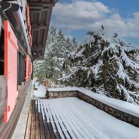 Traumhaus أروسا