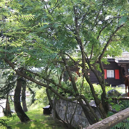 Chalet Traumhaus By